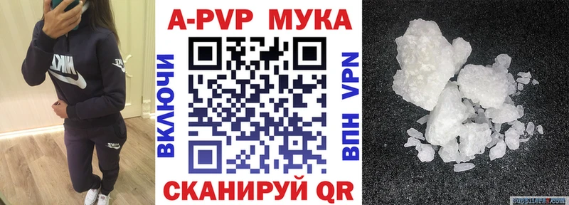 A-PVP СК Городец
